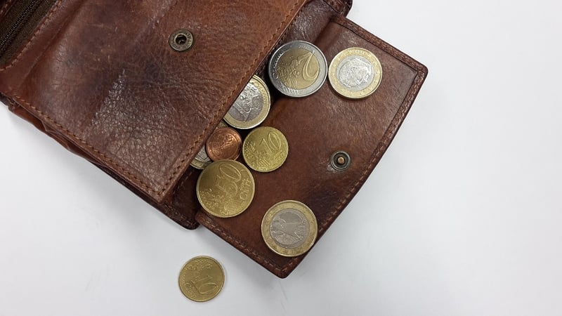 Wallet with money